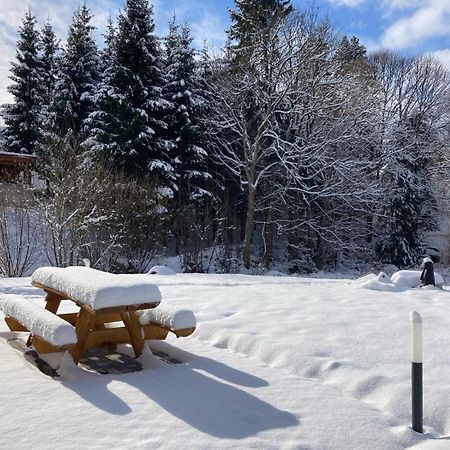 La Cabane Des Ecureuils Xonrupt-Longemer Dış mekan fotoğraf